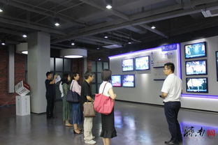 文博會巡禮走進市中 老廠房煥新顏，文化產業矩陣激活城市文脈